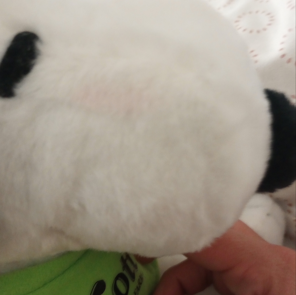 Snoopy - Picture 3 of 3